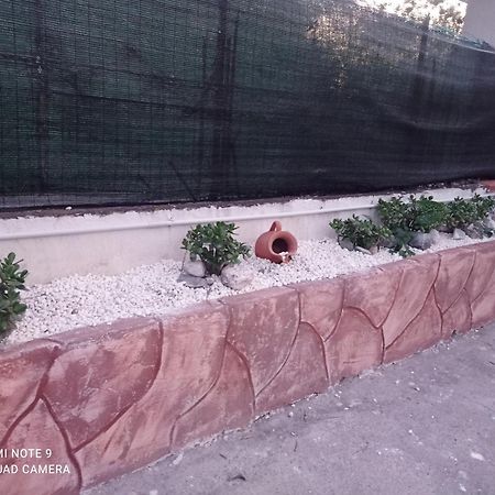 Villa Mirko Vaccarizzo-Delfino Εξωτερικό φωτογραφία